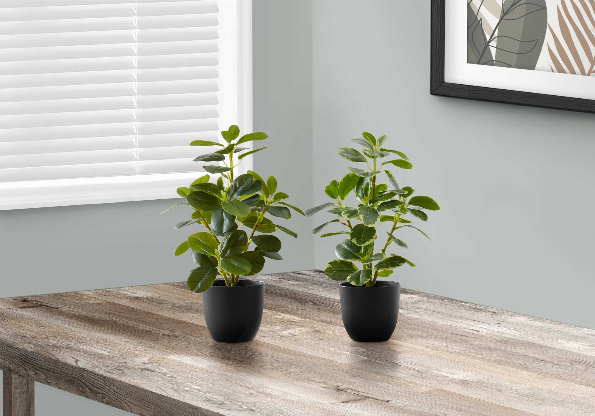 ARTIFICIAL PLANT - 2PCS  14H FICUS ELASTICA IN 4 POT